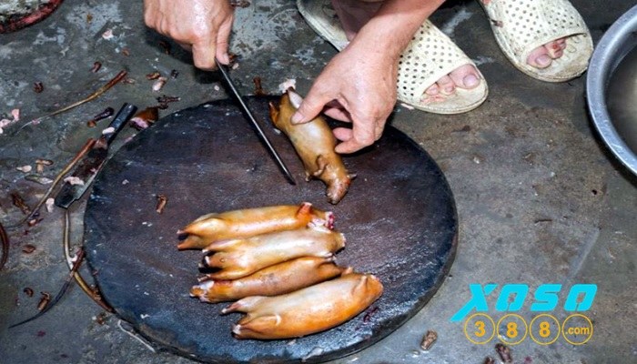 Giải mã giấc mơ thấy chuột