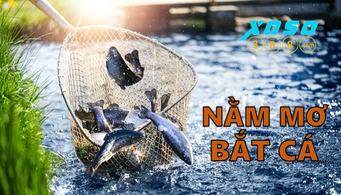 Mơ thấy bắt cá