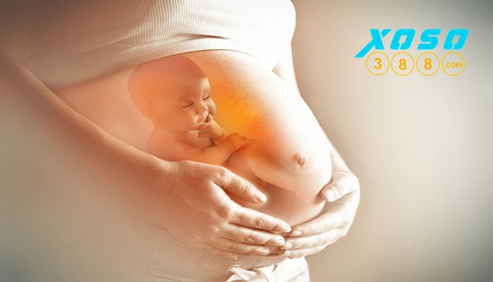 Nằm mơ thấy có bầu đánh số mấy