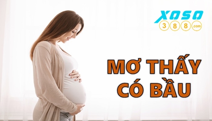 Nằm mơ thấy có bầu là điềm gì?